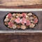 Large rustic wood dough bowl centerpiece on coffee table. Filled with natural botanicals and flower blossoms in pink and taupe.